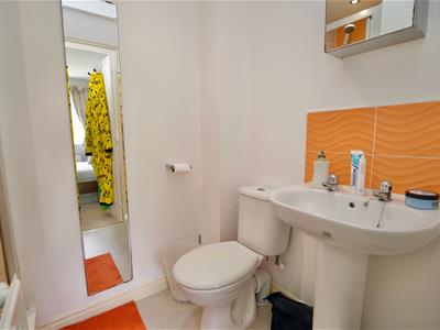 Picture 8